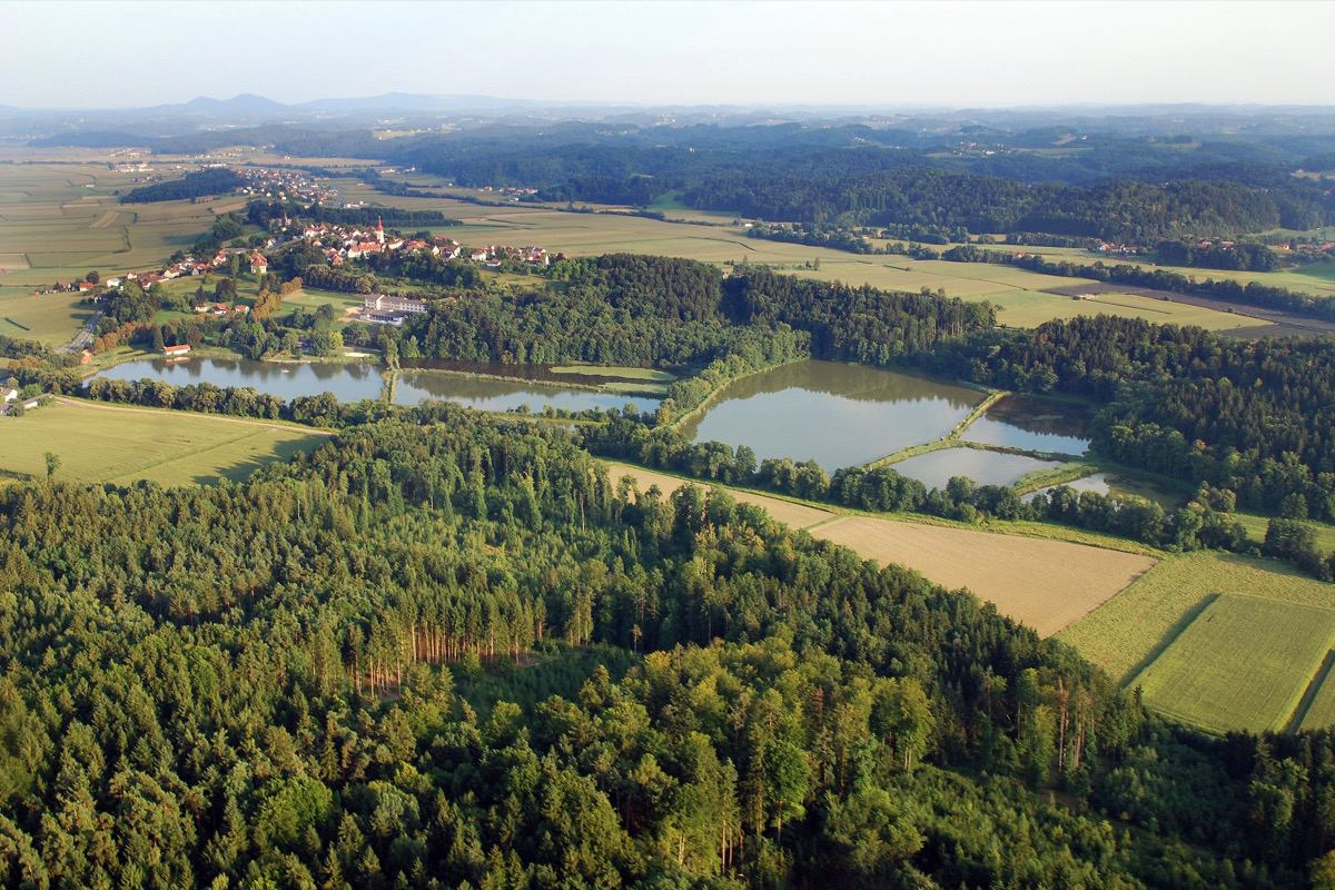 Teichanlage Kirchberg Waldteiche